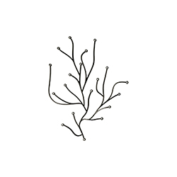 海草辦公飾品 波魯列克兄弟  vitra家具品牌