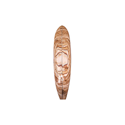 Pacific沖浪板 Pacific Surfboard
